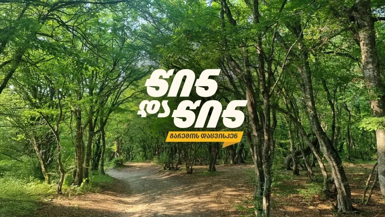 ინიციატივა „წინ და წინ“ — ტყის ბილიკი
